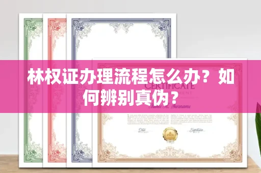 杭州林权证办理流程怎么办?如何辨别真伪?